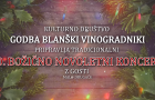Tradicionalni 20. božično-novoletni koncert